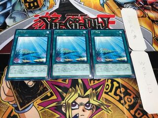 水舞台 レア 3枚セット てら