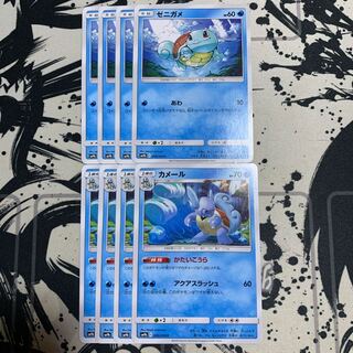 ゼニガメ　カメール