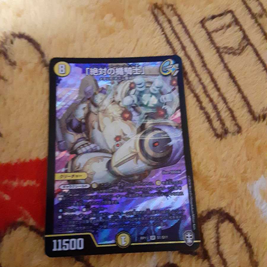 「絶対の楯騎士」