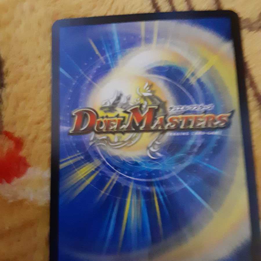 「絶対の楯騎士」