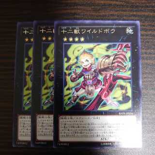 十二獣ワイルドボウ レア　3枚セット