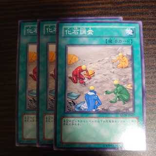 Fossil Dig Normal 3 piece set