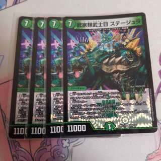 武家類武士目 ステージュラ