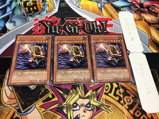 Mudora EE1 Rare, set of 3 Tera.