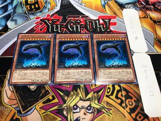 地縛神 Chacu Challhua レア 3枚セット てら