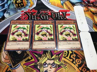 Prediction Princess Coinorma Rare Set of 3 Tera