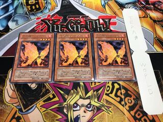 Blazewing Butterfly rare, set of 3, Terra