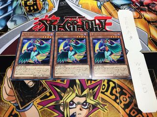 月光翠鳥 レア 3枚セット てら