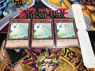 Spirit of the Fall Wind rare, set of 3, Tera