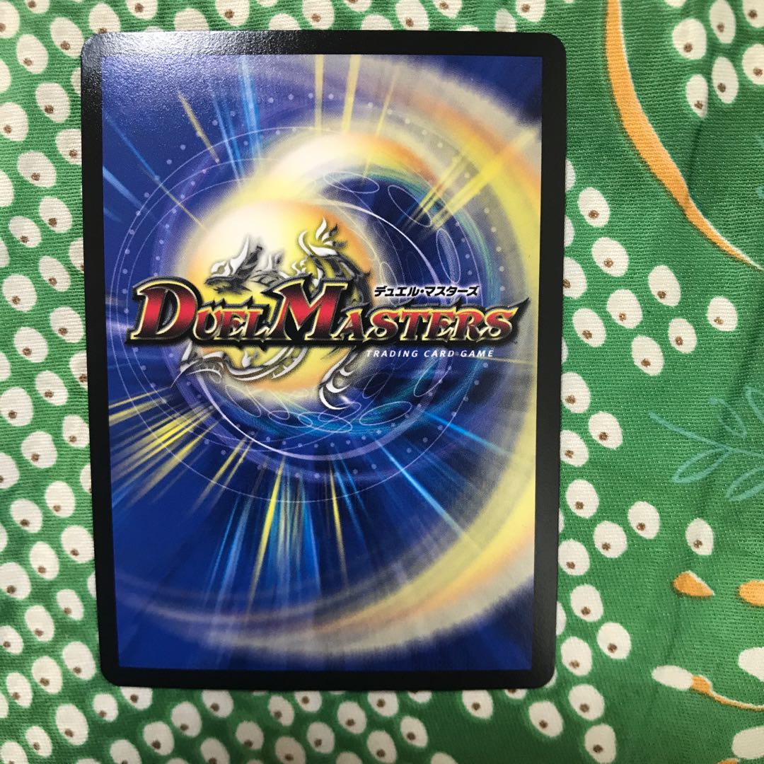 最安値!龍星装者 “B-我”ライザ シク