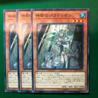 遊戯王　神樹のパラディオン ノーマル　3枚