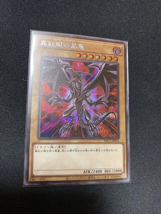 真紅眼の黒竜（イラスト違い版）シク