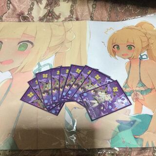 アセロラスリーブ12枚