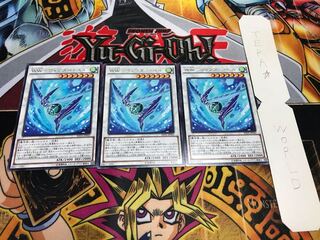 WW-ウィンター・ベル レア 3枚セット てら