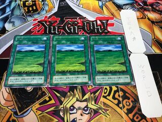 Grasslands 2nd season ver Rare 3 piece set Terra