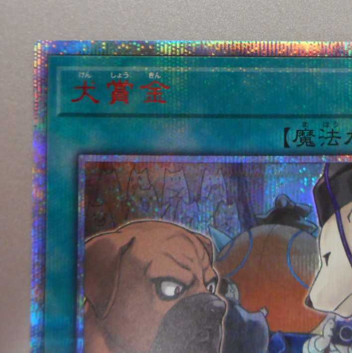 （美品）犬賞金　20thシークレットレア