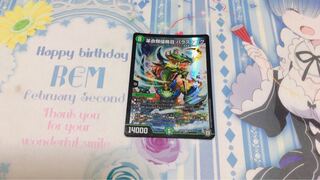 革命類侵略目 パラスキング