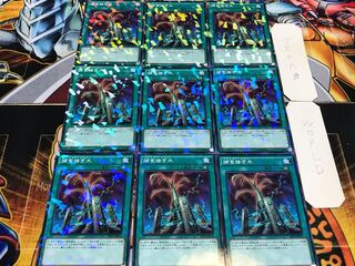 捕食接ぎ木 ノーマルパラレル 9枚セット てら