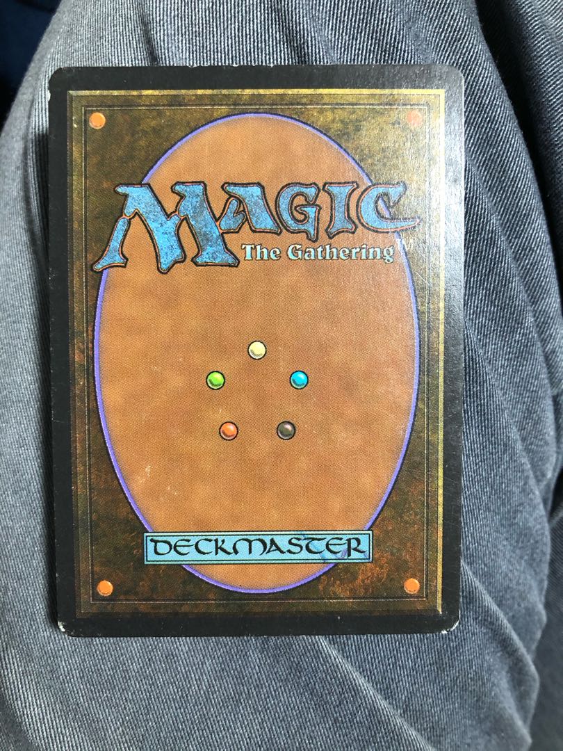 bayou 3ed 伊　英語版2枚セット