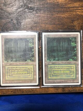 bayou 3ed 伊　英語版2枚セット