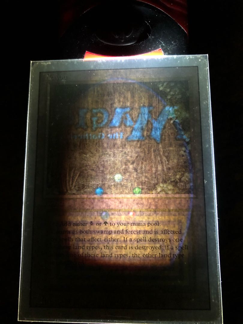 bayou 3ed 伊　英語版2枚セット