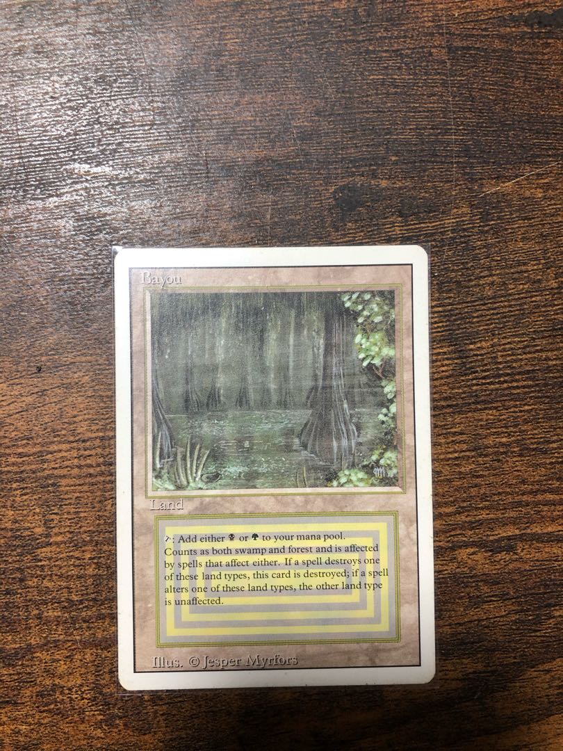 bayou 3ed 伊　英語版2枚セット