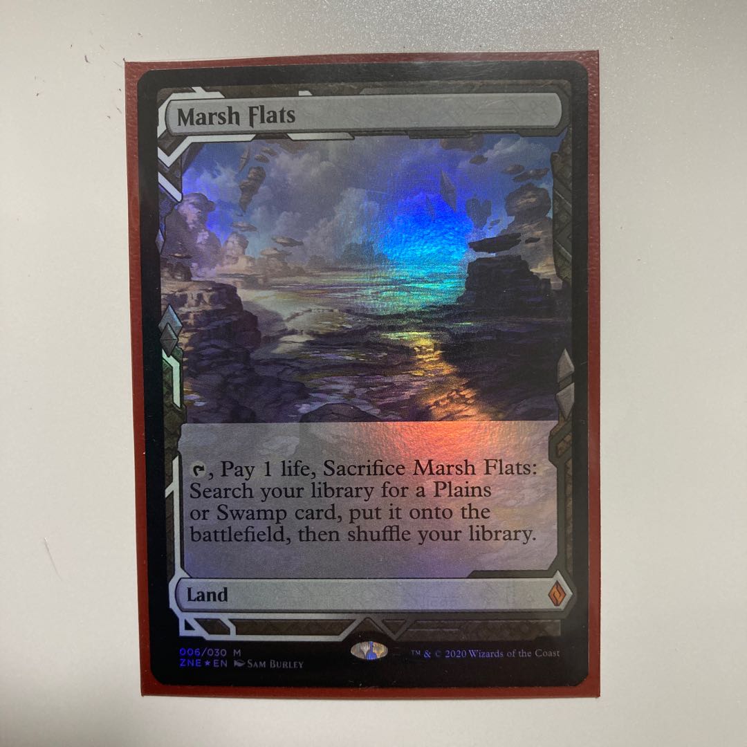 湿地の干潟　エクスペディション　foil