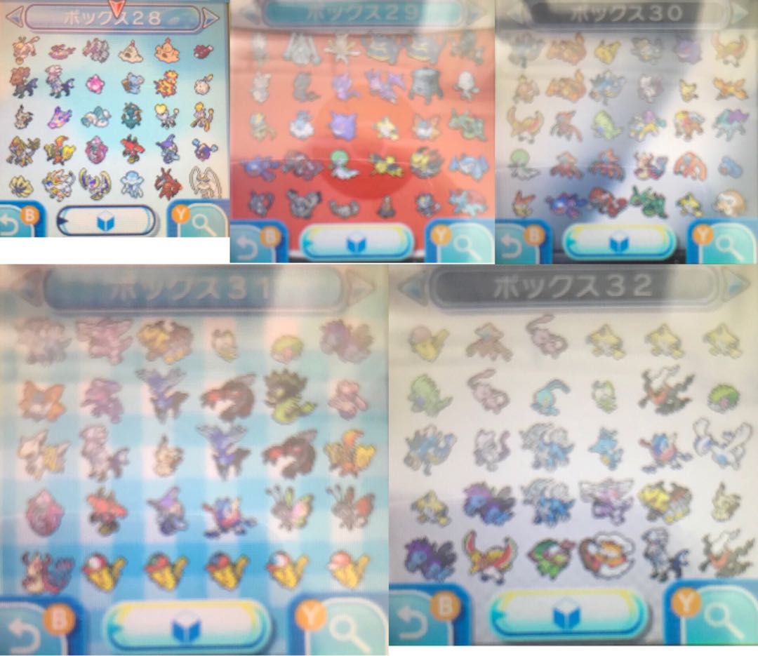 ポケットモンスター　ウルトラサン　乱数産正規！図鑑コンプリート！配布多数！