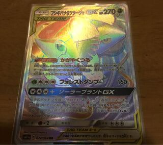 フシギバナ＆ツタージャ