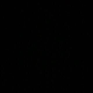 デアドラ様専用