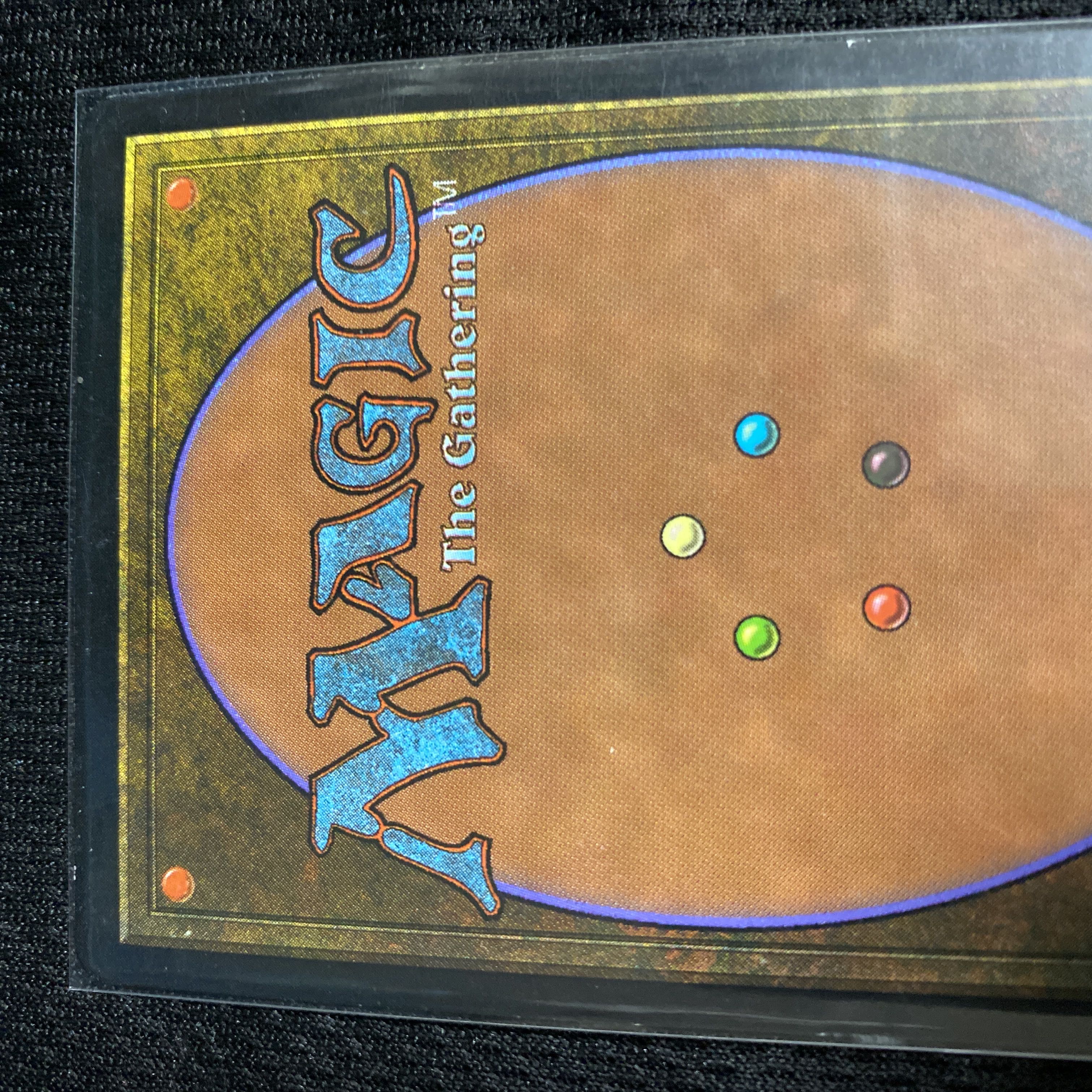 Academy Rector/Academy Rector