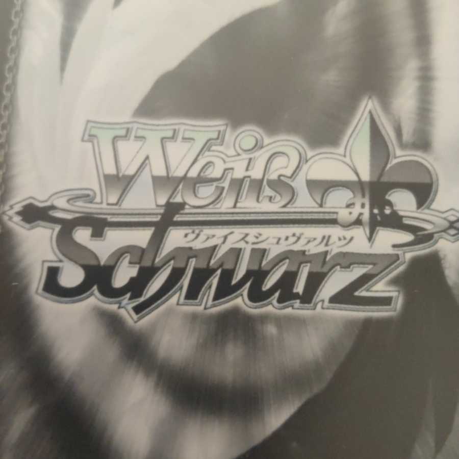 レンマ様専用 1枚