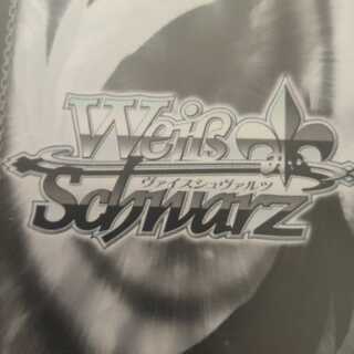 レンマ様専用 1枚