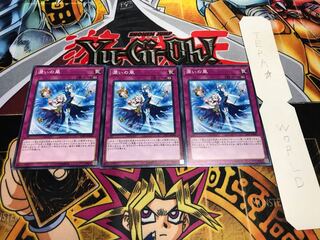 潤いの風 ノーマル 3枚セット てら