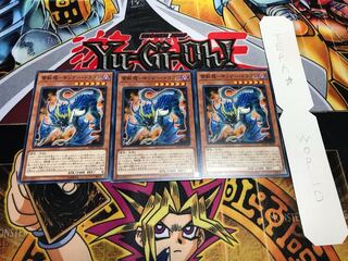 雷獣龍-サンダー・ドラゴン ノーマル 3枚セット てら