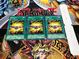 団結の力 2期ver ノーマル 3枚セット てら