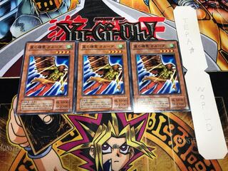 風の精霊 ガルーダ 2期ver ノーマル 3枚セット てら