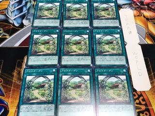 アロマガーデン ノーマル 9枚セット てら