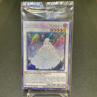 遊戯王【英語版】ガーデン・ローズ・メイデン シク 未開封