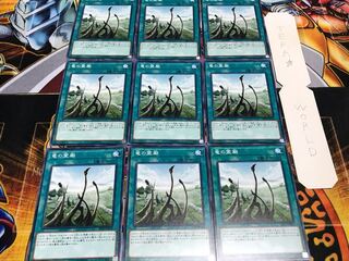 竜の霊廟 ノーマル 9枚セット てら