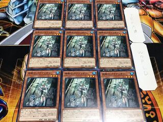 神樹のパラディオン ノーマル 9枚セット てら