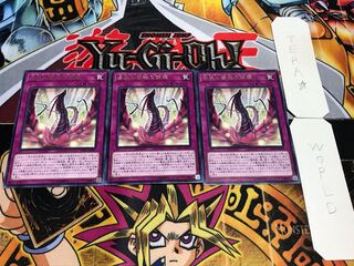 漆黒の薔薇の開華 レア 3枚セット てら