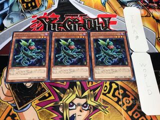 捕食植物オフリス・スコーピオ レア 3枚セット てら