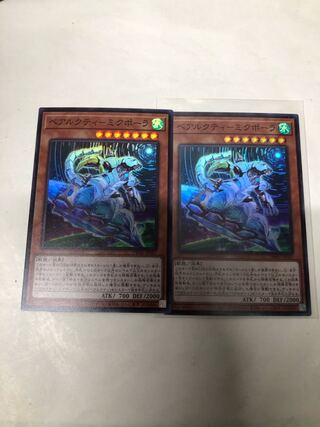 ベアルクティ-ミクポーラ2枚セット