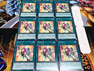 錬装融合 レア 9枚セット てら