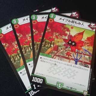 メイプル超もみ人