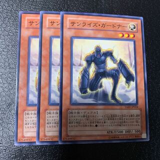 サンライズ・ガードナー ノーマル