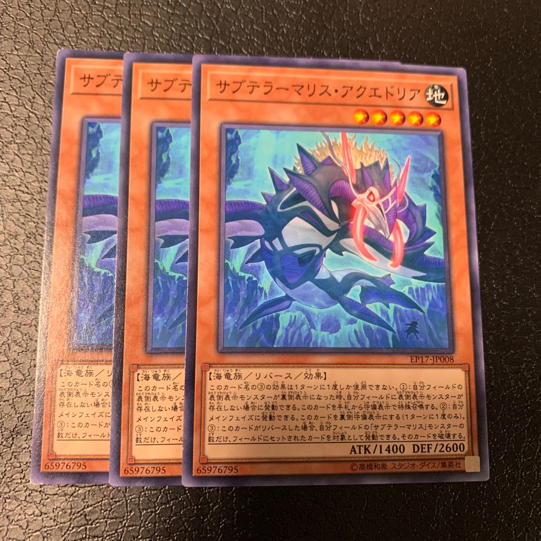 サブテラーマリス・アクエドリア ノーマル