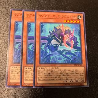 サブテラーマリス・アクエドリア ノーマル