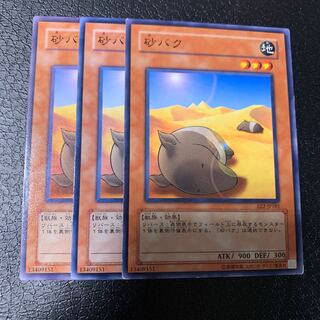 砂バク ノーマル